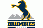 Brumbies logo