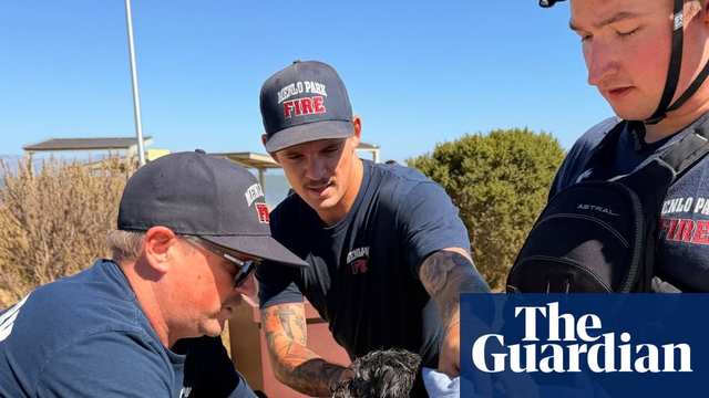 Small dog missing for weeks rescued while swimming in San Francisco Bay